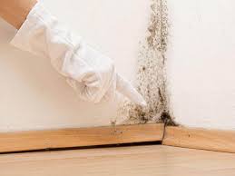 Best Crawl Space Mold Remediation in USA